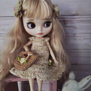 One of a Kind Blythe Doll Dressed in Handmade Crochet Outfit with Mini Purse